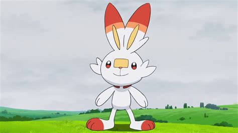 rabbit pokemon